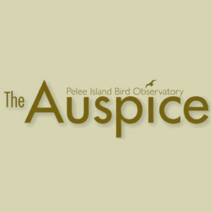 PIBO tri-annual newsletter, The Auspice