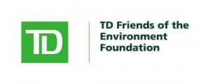 TD FEF logo