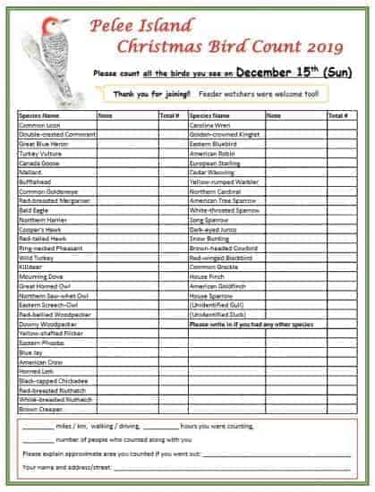 Christmas Bird Count 2019