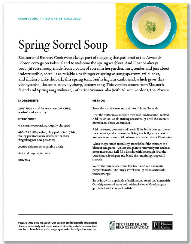 Spring Sorrel Soup