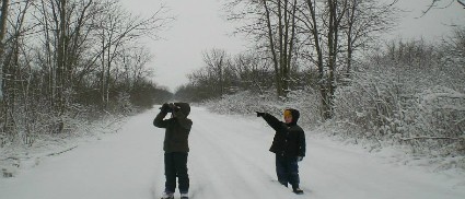 Pelee and Bass Islands Christmas Bird Count 2013