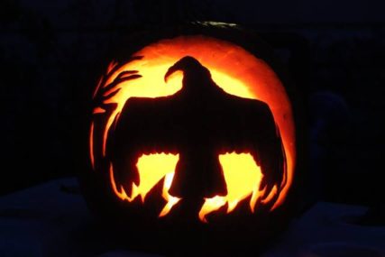 Migration Summary October 16th- October 31st 2016