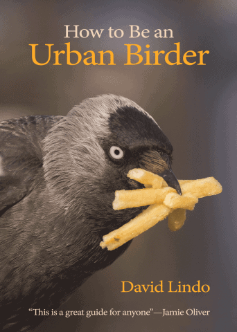 How to Be an Urban Birder David Lindo