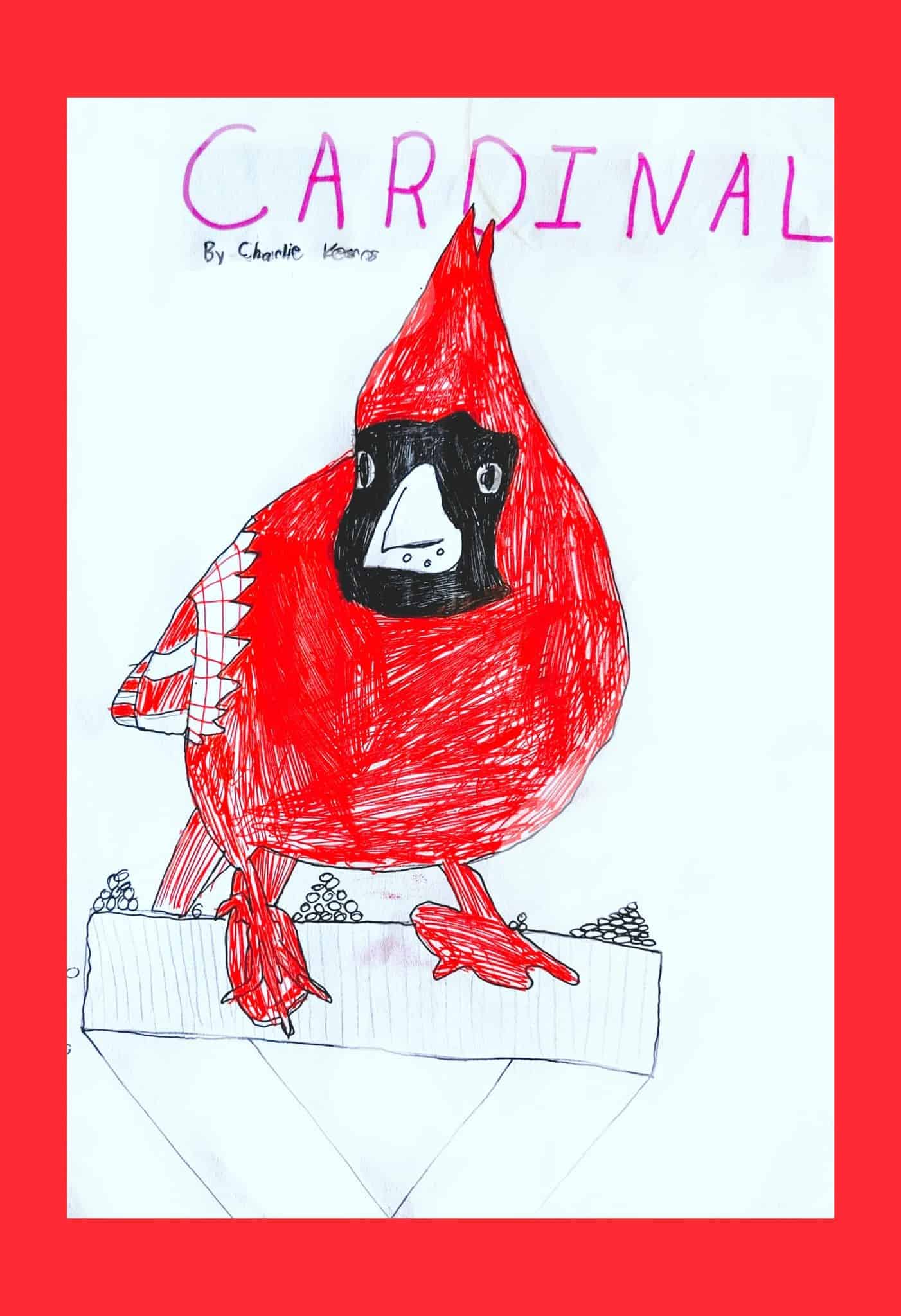 Charlie - Cardinal