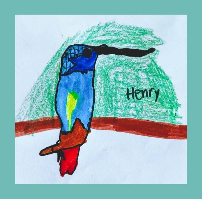 Henry - Hummingbird