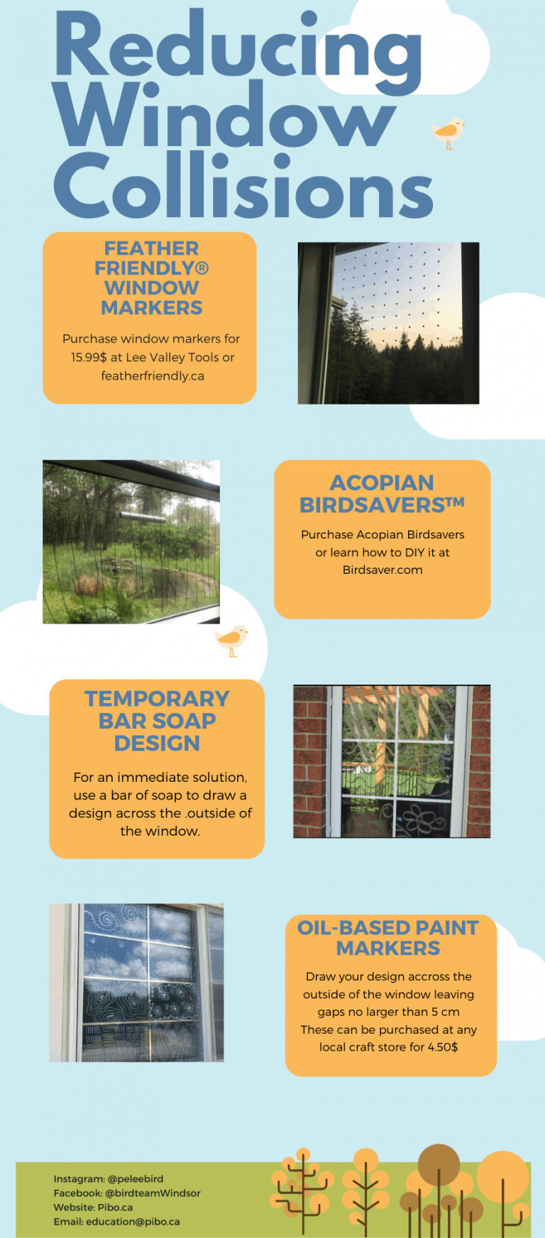 bird friendly poster pg 3