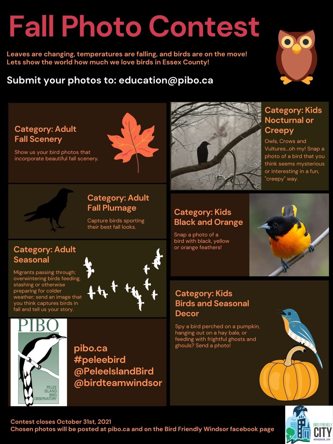 Fall Photo Contest final