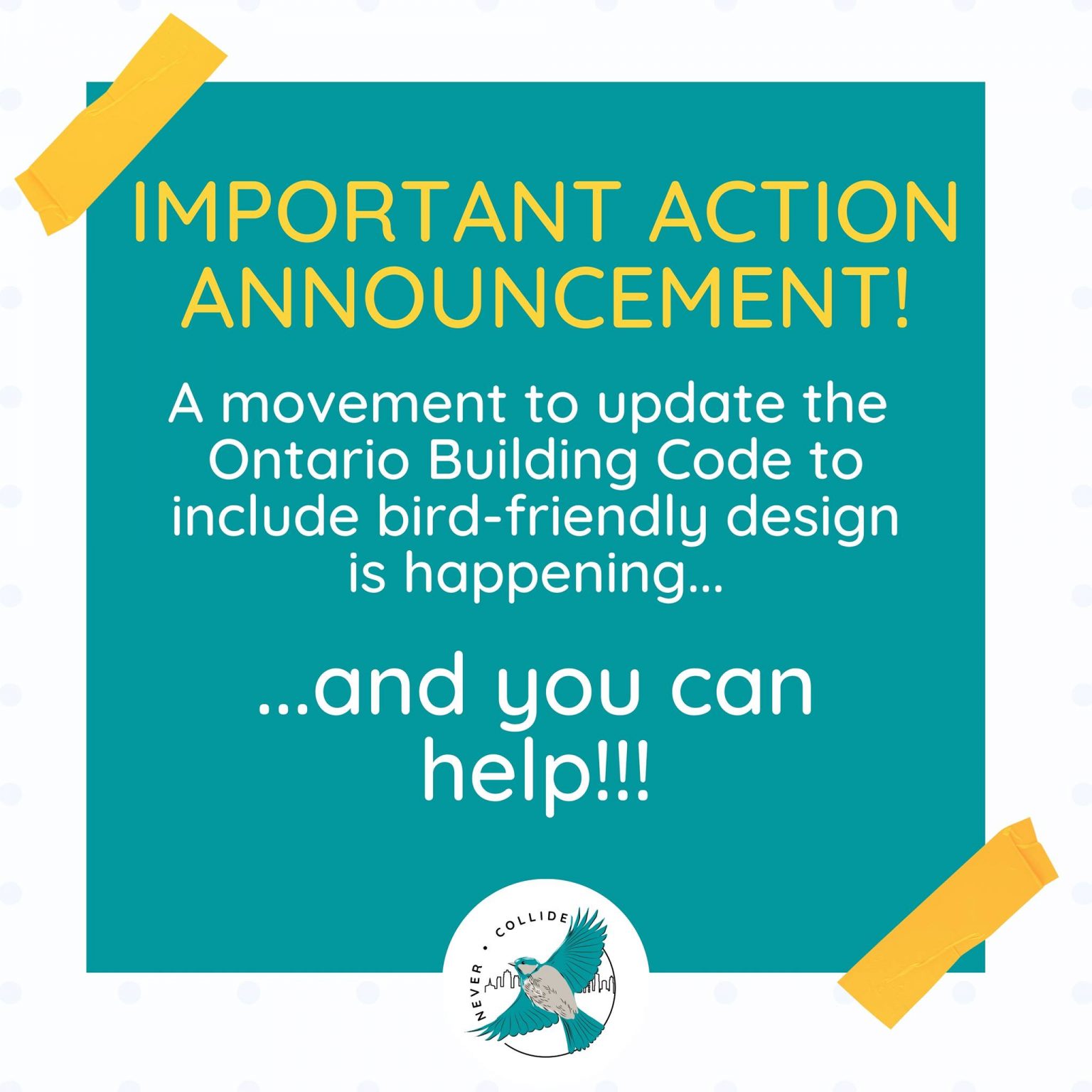 https://www.chrisglovermpp.ca/protect_migratory_birds?fbclid=IwAR3CDW-ulXdjHV62lL_mQHjiExdVPyXSKN-5YmdFaTQ3kKWlcYv3L5sWCgE