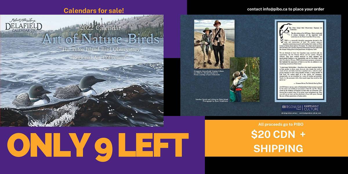 draft banner of calendar sale