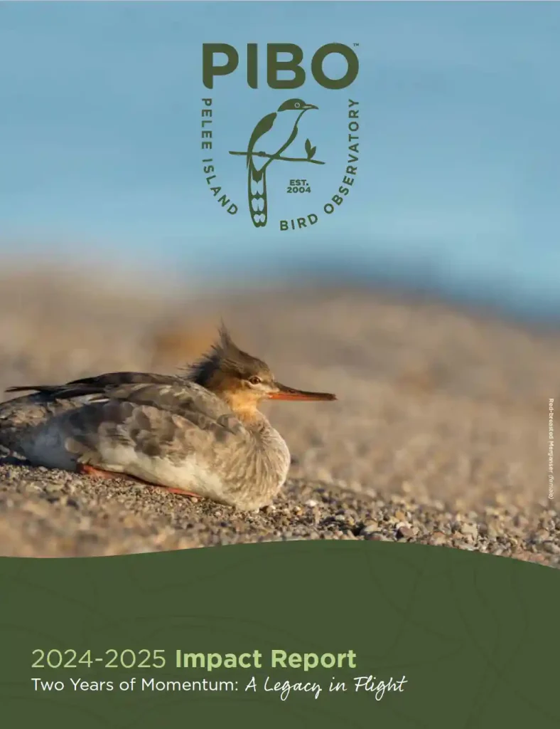 2024-2025 Impact Report cover