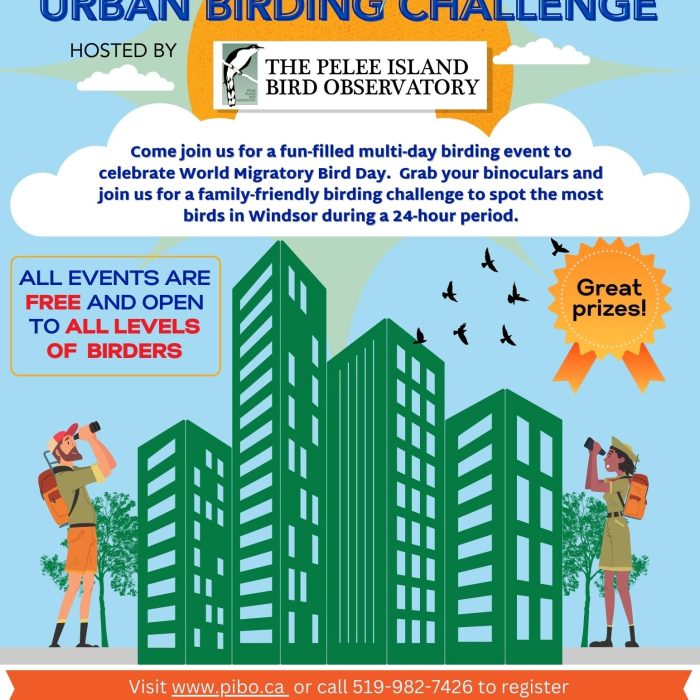 2024 Urban Birding Challenge