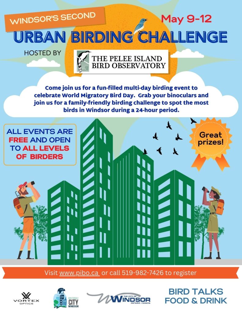 2024 Urban Birding Challenge Poster