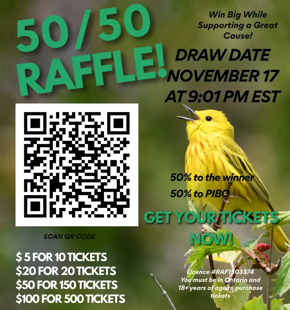 5050 poster Oct 2025