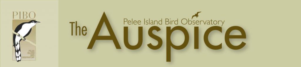 The Auspice newsletter