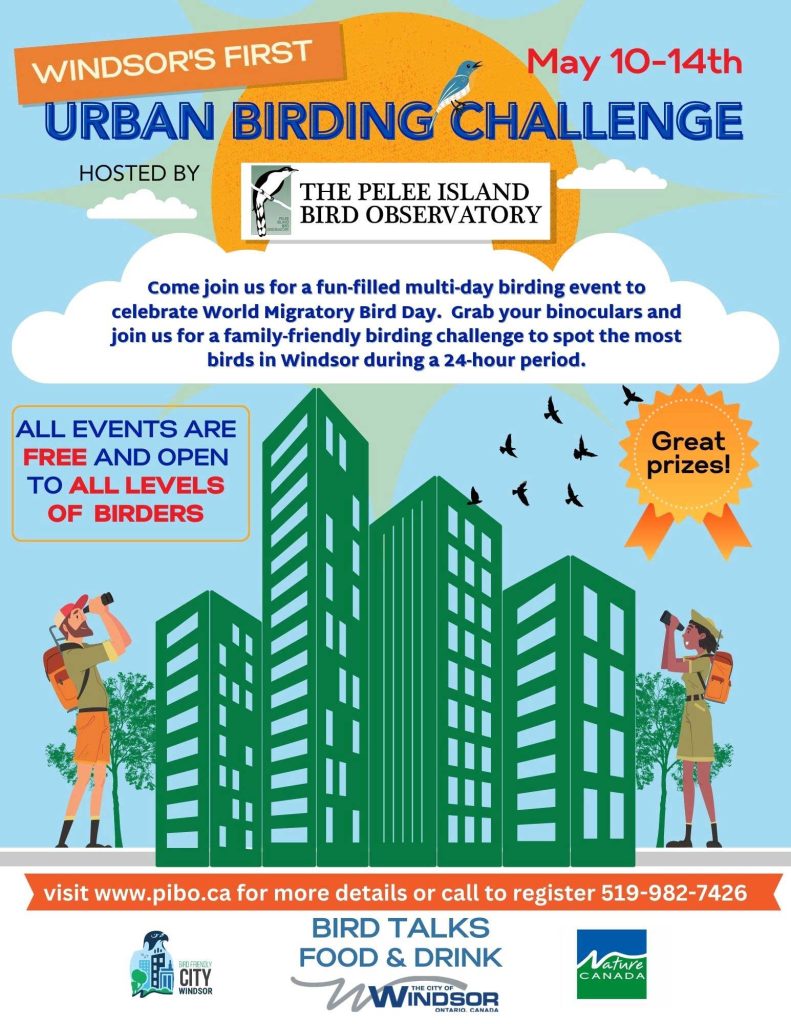 Urban Birding Challenge poster 2023