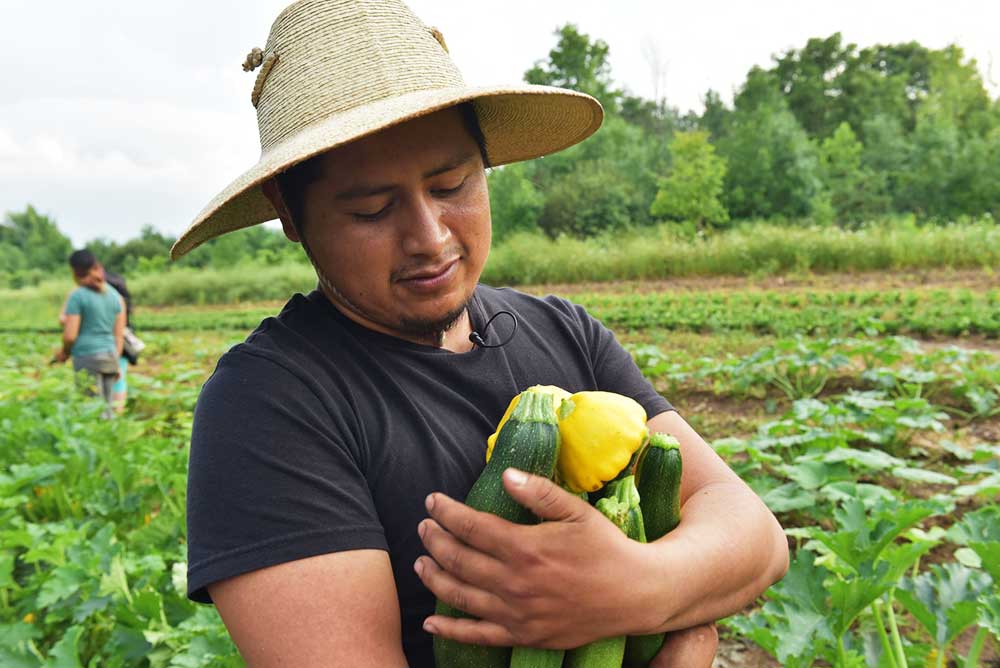 organic farming