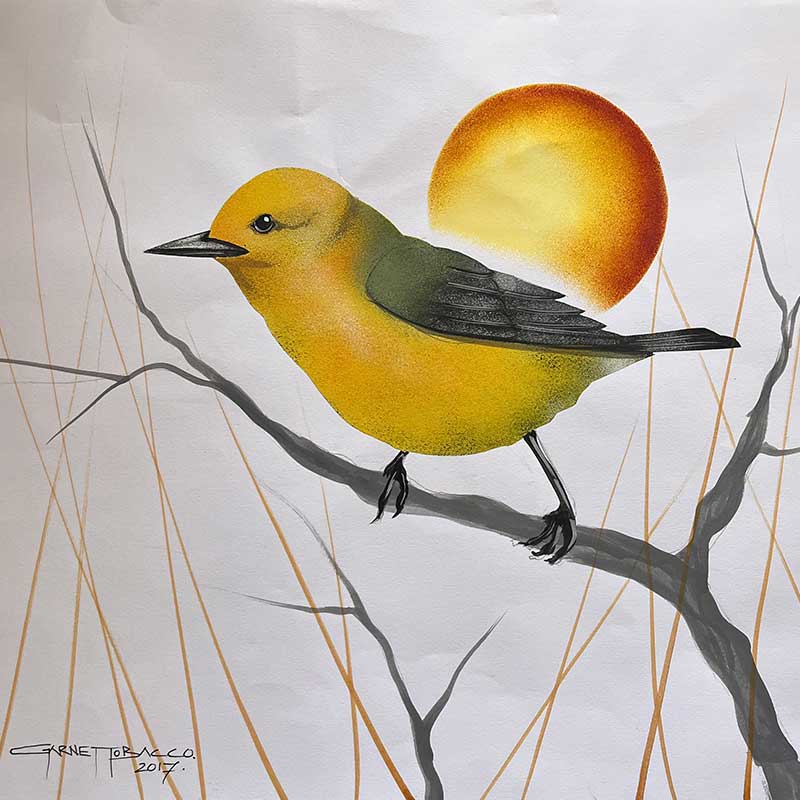 Prothonotary warbler