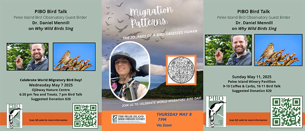 World Migratory Bird Day